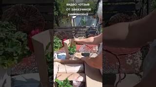 Отзыв распаковка о посылке #гортензии #метельчатаягортензия #сад #garden #цветы