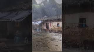 heavy rain in village #life