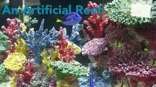 How to Set Up An Artificial Reef Fincasters Episode 79