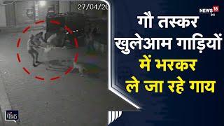 Viral | Alwar में गौ तस्करों में Police का कोई खौफ नहीं, खुलेआम गाड़ियों में भरकर ले जा रहे गाय