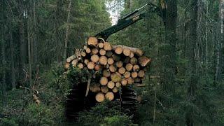 Woche der Landwirtschaft "Wald und Nutzung"