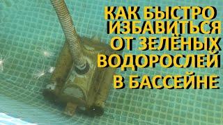 Каркасный бассейн Как быстро избавиться от зелёных водорослей