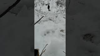ох уж этот Андрей головко