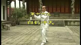 永春白鹤拳 穿心中拳 - 上 Yong Chun white crane - Fist Penetrating Heart A