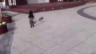 Baby Yebin Chasing After Pigeons 비둘기들 뒤쫓는 예빈이