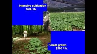 Ken Mudge, Forest Farming