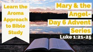 Mary & the Angel- Fear to Favor -Luke Bible Study for women