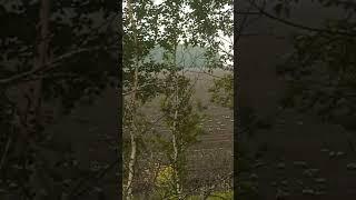 всё у нас замечательно!!!