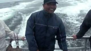 Rcd Lions Whale Watching tours From Santa Cruz & excitement dance by Bikash Sainju.