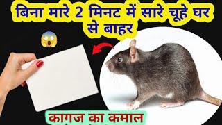 बिना मारे चूहे भगाए इस घरेलू तरीके से   get rid of mouse/ chuhe bhagane ka tarika/kitchen tips