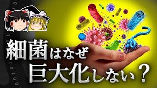 長い進化の過程で、なぜ細菌は巨大化しなかったのか？～拡散と生物の進化～【ゆっくり科学】