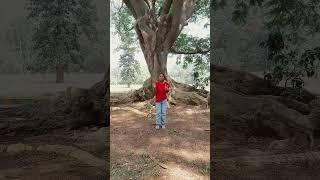 Irin form lalbagh Bangalore botanical garden