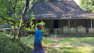 Langka ! Kampung Jaman Dulu Terasa di Desa Terpencil Pedalaman Semarang Jawa Tengah
