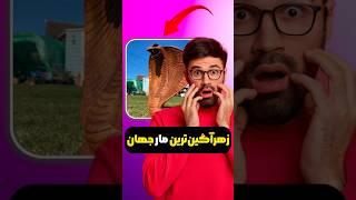 زهرآگین ترین مار در جهان  #shorts