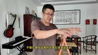 家养宠物猫到底有没有必要吃化毛膏，听韩哥个人经验