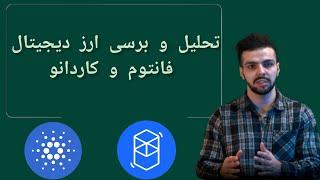 تحلیل و برسی ارز دیجیتال فانتوم و کاردانورشد انفجاری داریم