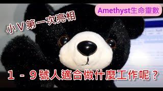 Amethyst生命靈數1-9號人適合做什麼工作呢?有怎樣的事業特質呢?讓小V來告訴你吧! 時間軸在說明欄