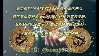 外汇MT4  MT5   数字货币交易所一站式搭建部署