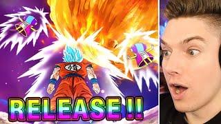 BRAND NEW Dokkan Reaction, Summons, & Gameplay!