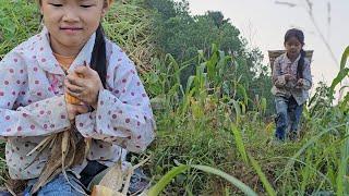 Poor little girl gardening her own vegetables.little girl's farm