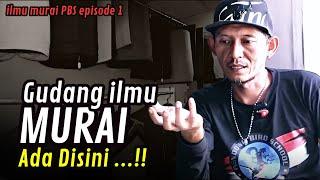 Pinter Rawat Murai ‼️ Ilmu Murai PBS part 1 #DenidenGacor