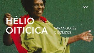 Visita Guiada | Hélio Oiticica: Parangolés e Bólides