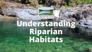 Weekly Science Challenge: Understanding Riparian Habitats