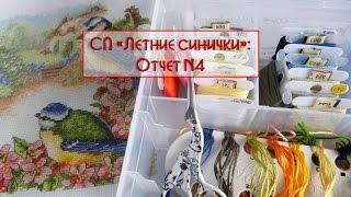 СП "Летние синички": Отчет N4
