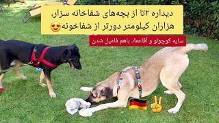 دیداره بچهای شفاخانه سزار در آلمان Two guys of sezarsanctuary visiting each other thousands kilomet