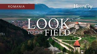 Romania | Look to the Field