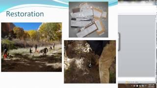 Amber Hughes  Restoration of the Escalante River