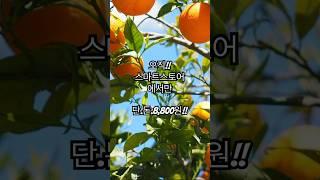 과즙팡팡비타민충전 지금바로 구매해보세요http://smartstore.naver.com/hmlm