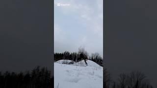 Jumping in the snow#foryou #therian #quadrobics #orangecat #jump #snow #nature