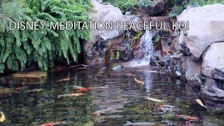 10 Hour Relaxing Deep Sleep Music Peaceful Dreams - Disney Meditation Japanese Koi Pond Epcot