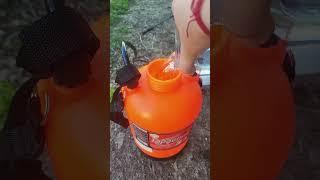Подкормка клубники во время цветения  #дача #огород #клубника