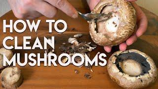How To Clean Mushrooms | Everyday Eats with Michele