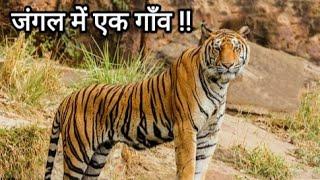 जंगल में रहते है लोग #wildlife #kotdwar #villagelife  #kolhuchaud village