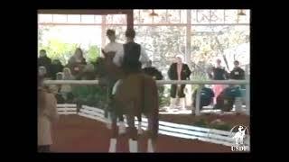 1996 USDF National Symposium: The Art of Dressage