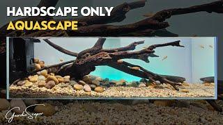 Low tech, low maintenance, high impact AQUASCAPE | Perfect for BEGINNERS