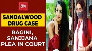 Sandalwood Drug Case: NDPS Court To Pass Order In Ragini Dwivedi, Sanjjanaa Galrani Bail Pleas