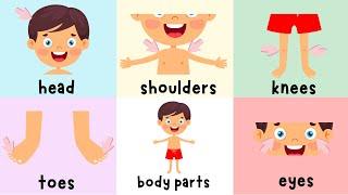 Head, Shoulders, Knees, And Toes | Body Part Practice | 4K