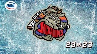 23 in 23: Odessa Jackalopes