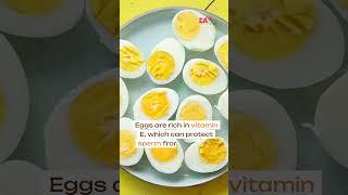 Boosting Sperm Quality: 10 Incredible Foods for Male Fertility PART 2