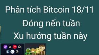 Phân tích Bitcoin altcoin hôm nay ngày 18/11 cập nhật thị trường crypto mới nhất hôm nay