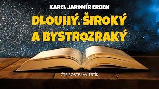 Karel Jaromír Erben: Dlouhý, Široký a Bystrozraký
