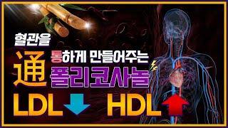 [HDL, LDL 관리] 콜레스테롤 관리는 폴리코사놀이 해결!!(혈중 콜레스테롤 낮추는 방법, 콜레스테롤이 수치, 혈행관리, 혈관을 튼튼하게, 나쁜 콜레스테롤, 좋은 콜레스테롤)