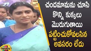 YSRTP Chief YS Sharmila Shocking Comments In LIVE | Telangana Politics | TS News | Mango News