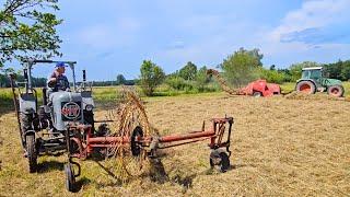 Eicher EKL/II - 16 PS -1 -Zylinder & 70 Jahre mit Spinne & Farmer 309 C mit Welger AP 730 Heuernte