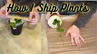 How To Ship Plants Safely | Shipping Plants with a heat pack | Winter Plant Shipping