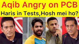 Angry Aqib Javed on Haris Rauf vs PCB New Controversy | how can they force Haris for Test Cricket?